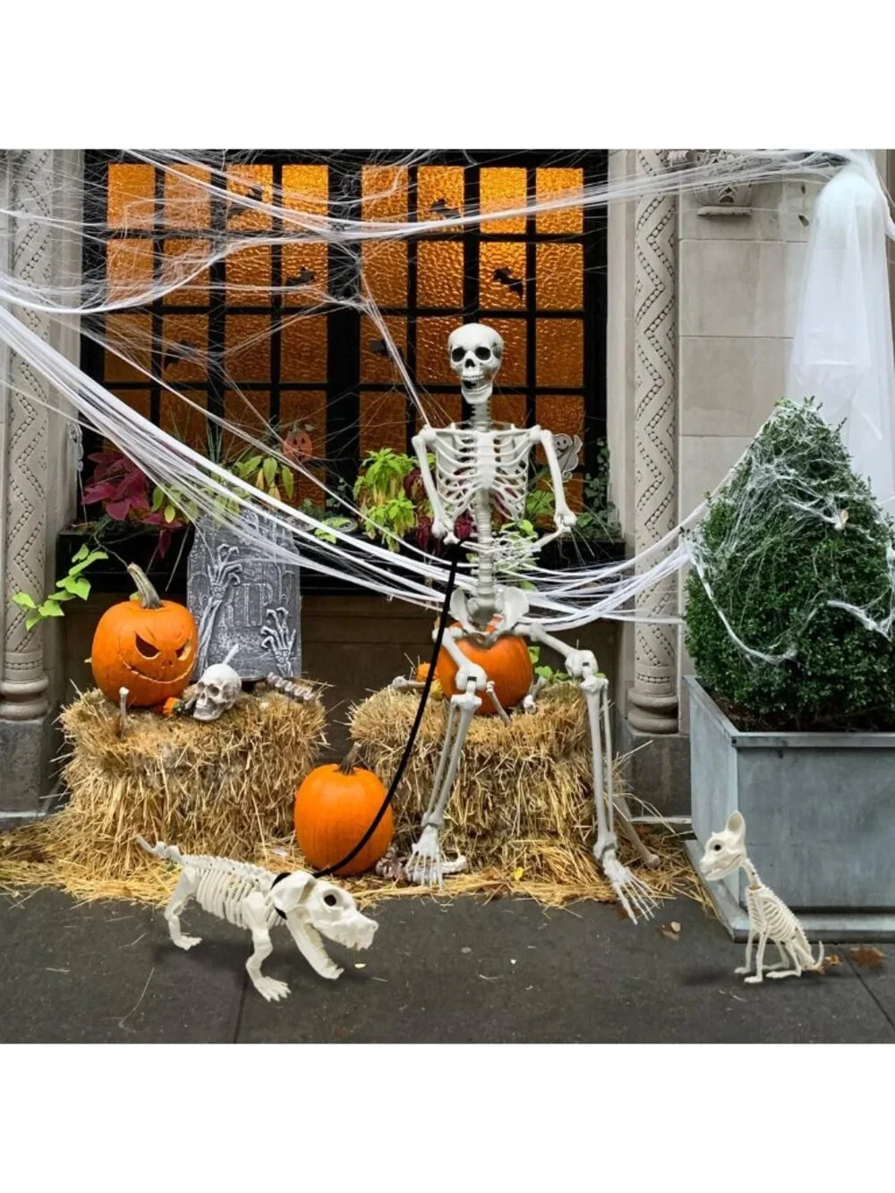 5.4Ft Posable Halloween Skeleton with Dog & Cat - Spooky Decor for Halloween
